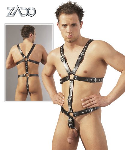    , Leather harness